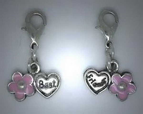 CC006 Charms, Anhänger Best friends Herz mit Blume rosa geteilt