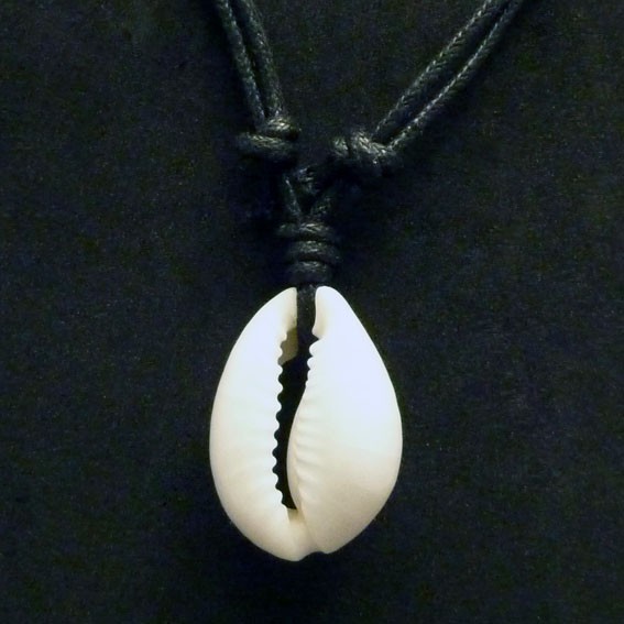 M001 Surferketten, Ketten mit Kauri Muschel