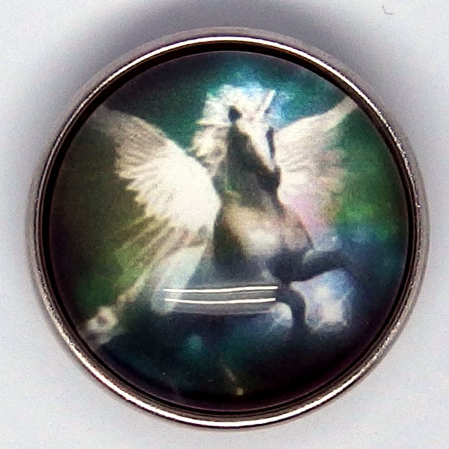 CH179a - Schmuck Druckknöpfe Pegasos 