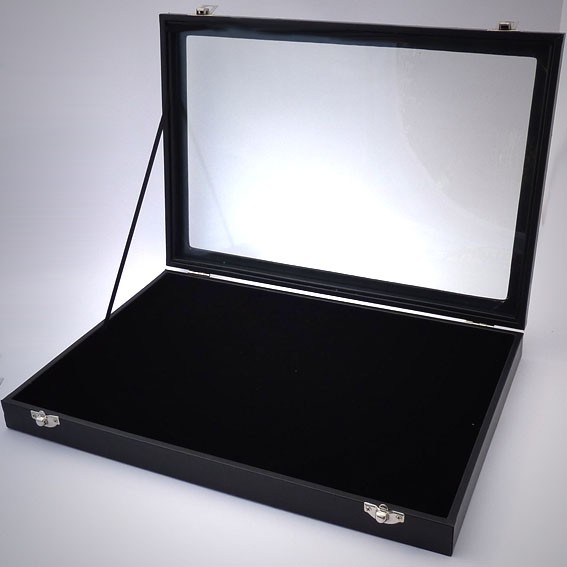 RD001 100er Ringbox mit Glasdeckel