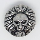  CH270 - Schmuck Druckknöpfe, Löwenkopf