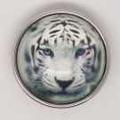  CH169 - Schmuck Druckknöpfe weisser Tiger